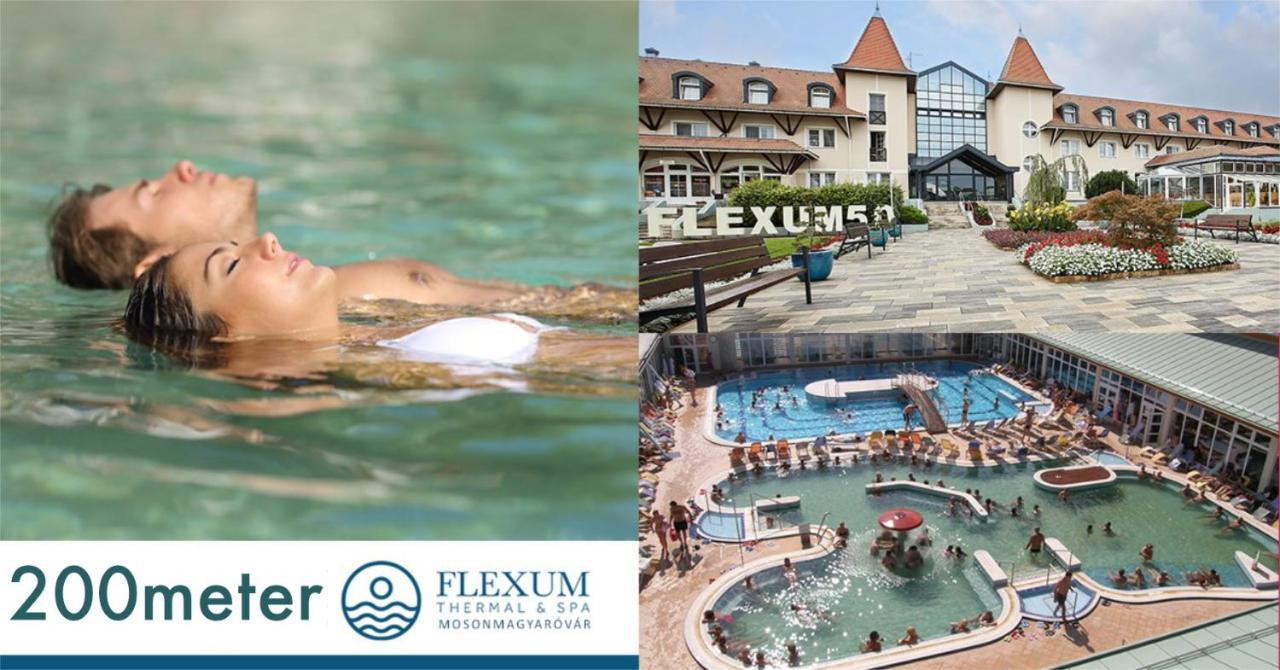 Feszek Fogado - Pension Nest Mosonmagyaróvár エクステリア 写真